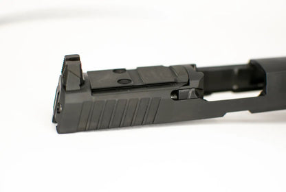 Sig Holosun Red Dot Plate