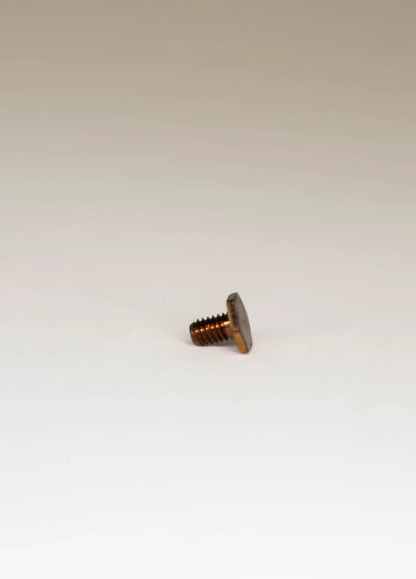 Glock Front Sight Screw